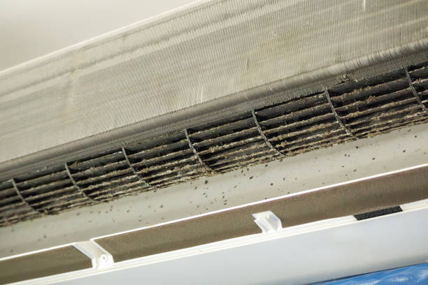 Best Professional Duct Cleaning Services  in Los Ranchos, CA